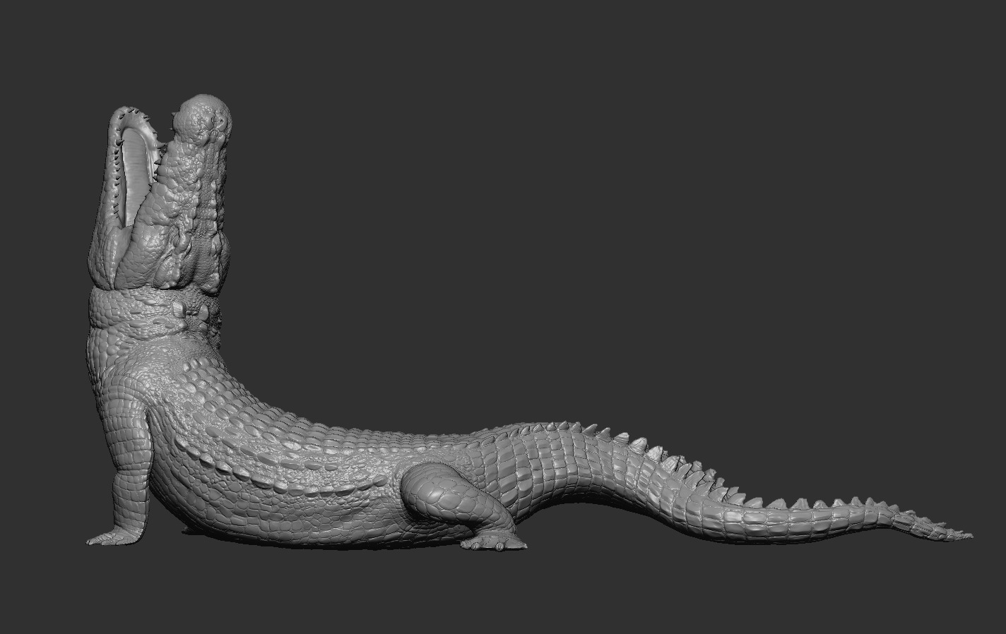 Crocodile 3D print model_9