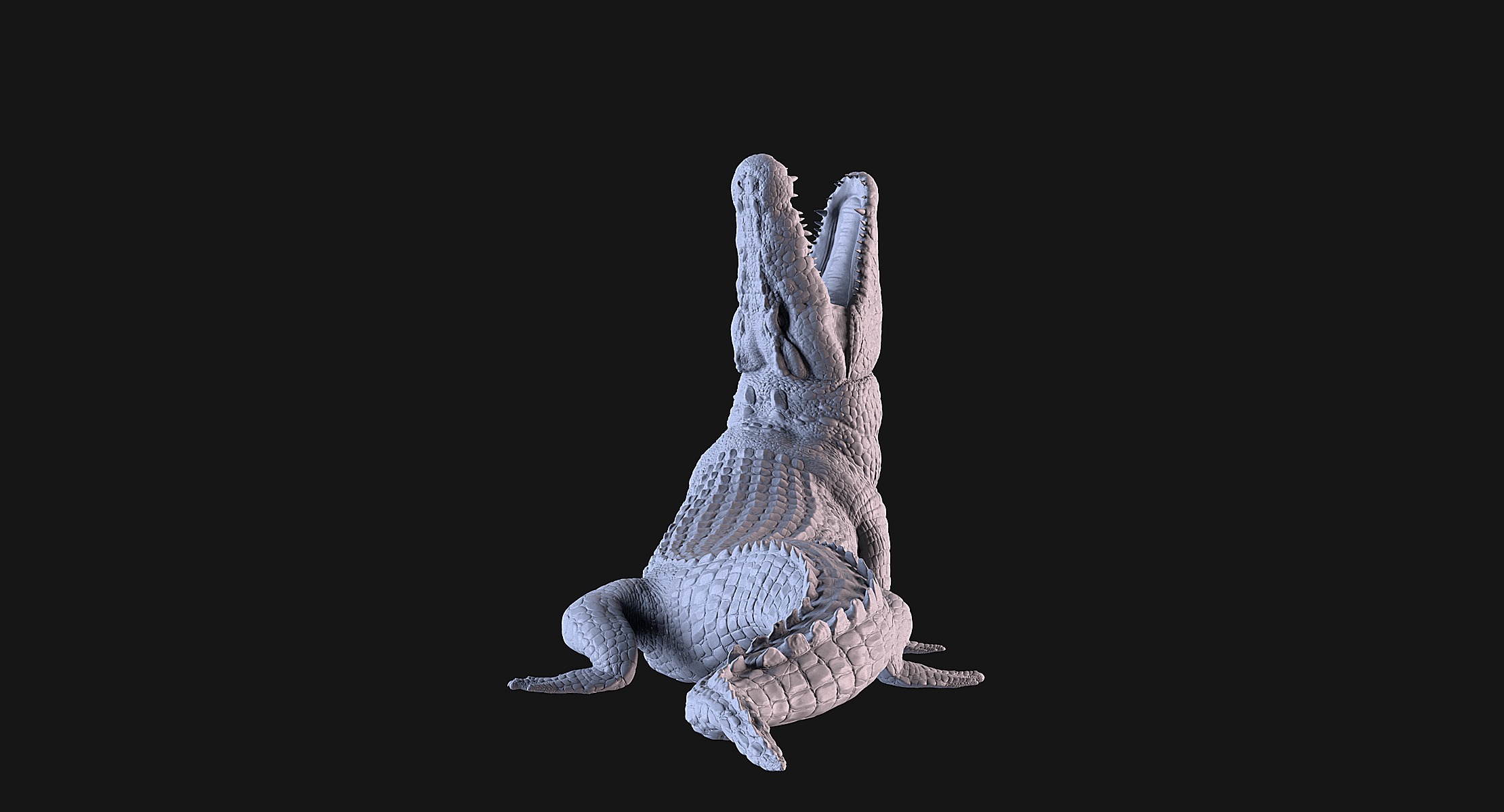Crocodile 3D print model_5