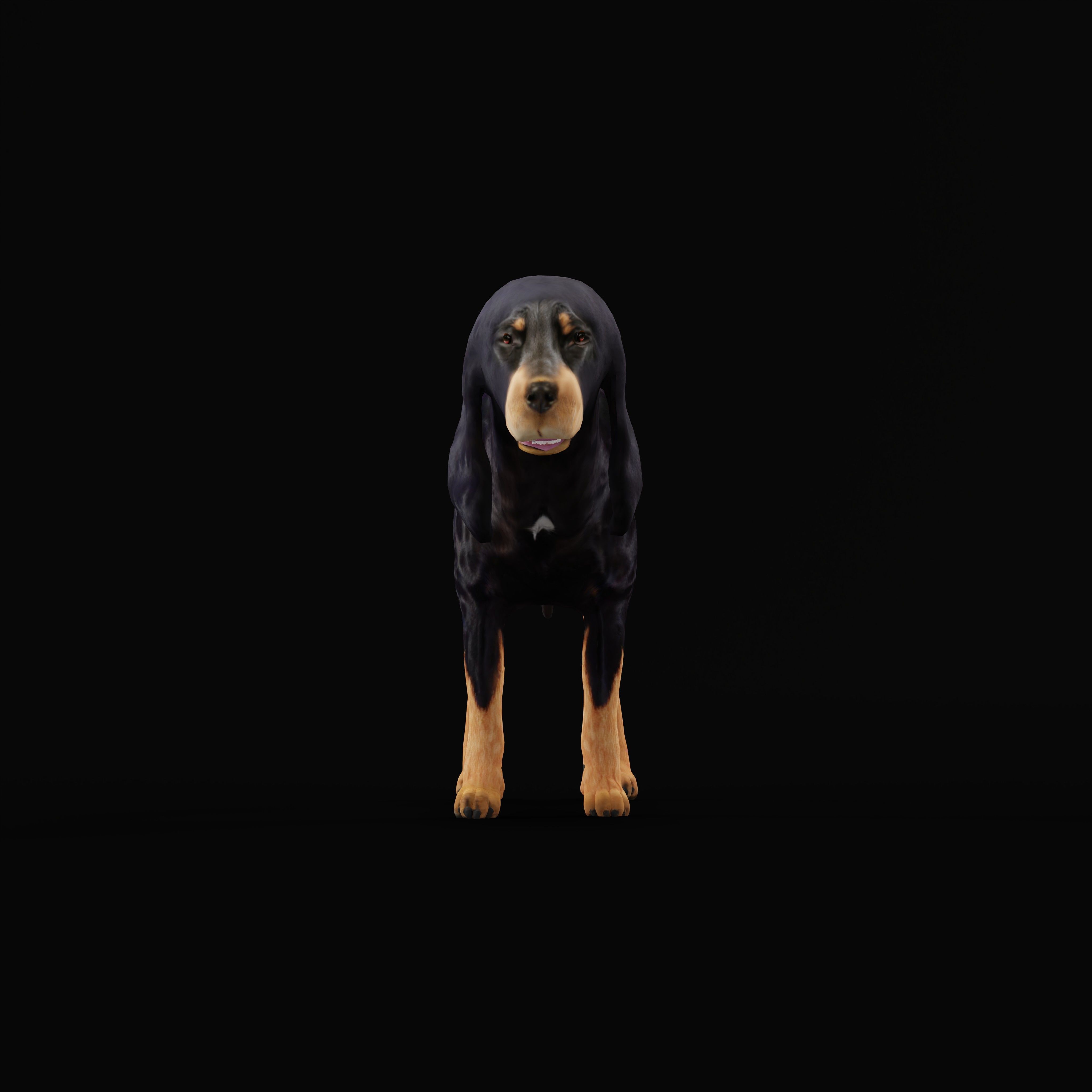 Black And Tan Coonhound Dog Low-poly 3D model_31