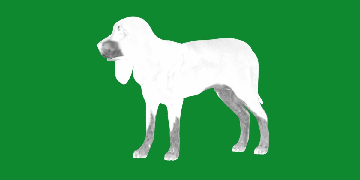 Black And Tan Coonhound Dog Low-poly 3D model_6