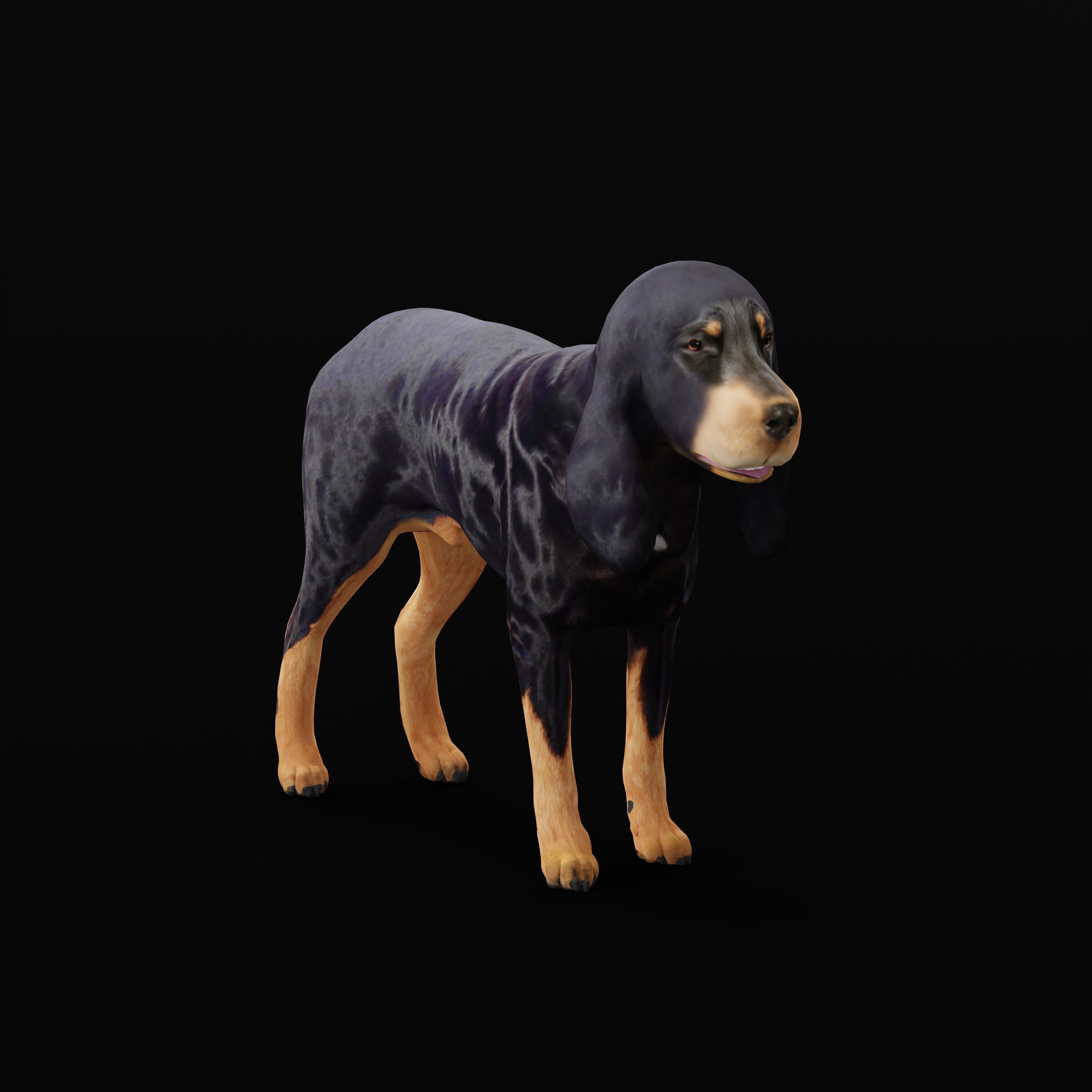 Black And Tan Coonhound Dog Low-poly 3D model_34