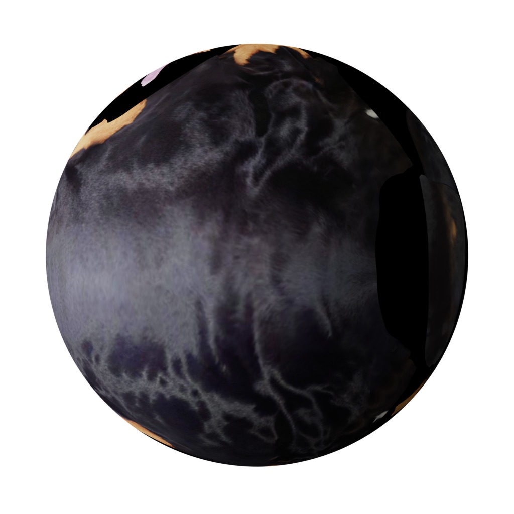 Black And Tan Coonhound Dog Low-poly 3D model_29