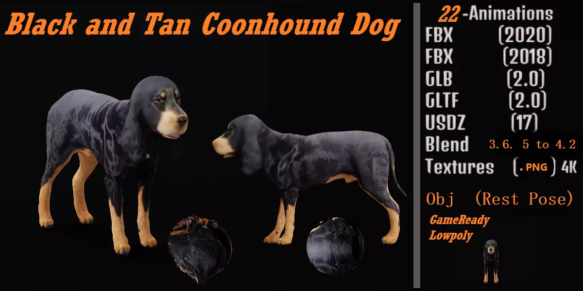 Black And Tan Coonhound Dog Low-poly 3D model_0