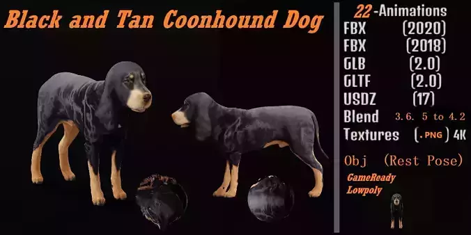 Black And Tan Coonhound Dog