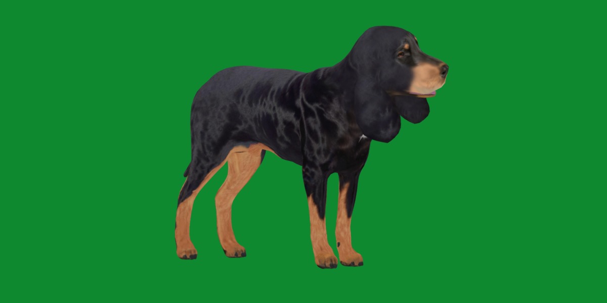 Black And Tan Coonhound Dog Low-poly 3D model_25