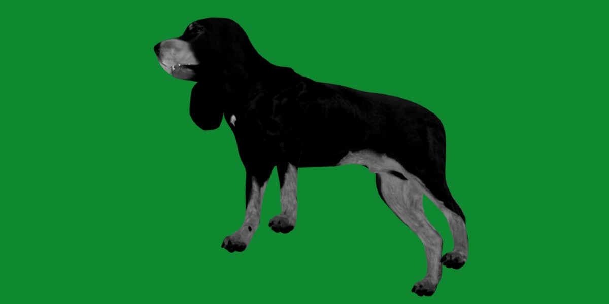 Black And Tan Coonhound Dog Low-poly 3D model_8