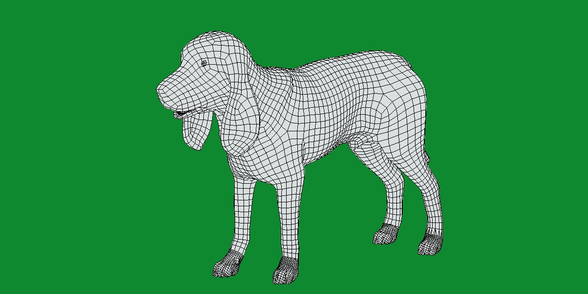 Black And Tan Coonhound Dog Low-poly 3D model_12