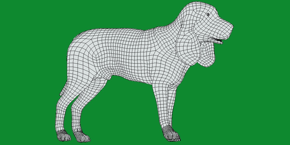 Black And Tan Coonhound Dog Low-poly 3D model_11