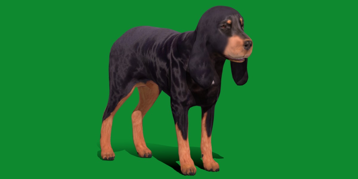 Black And Tan Coonhound Dog Low-poly 3D model_28
