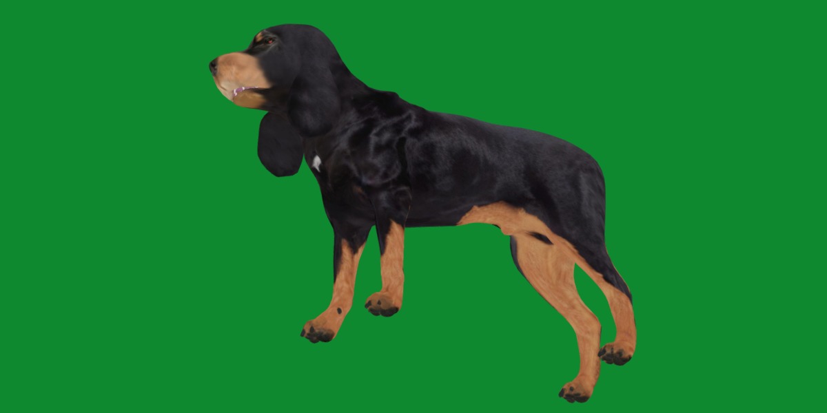 Black And Tan Coonhound Dog Low-poly 3D model_7