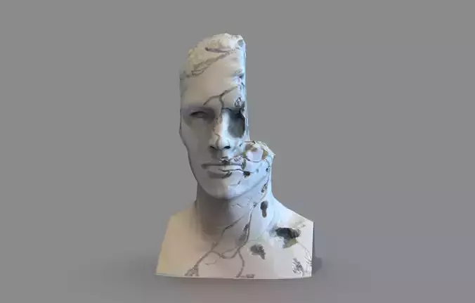 Broken Bust