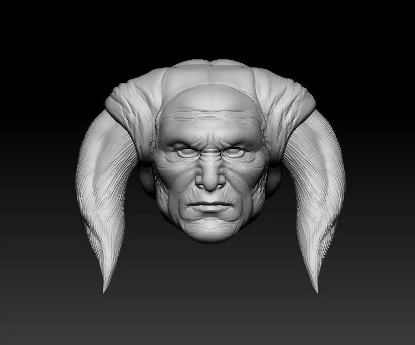 Saesee Tiin Headsculpt for Action Figures 3D print model