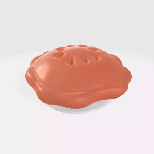 Baked Pie With Steam Holes