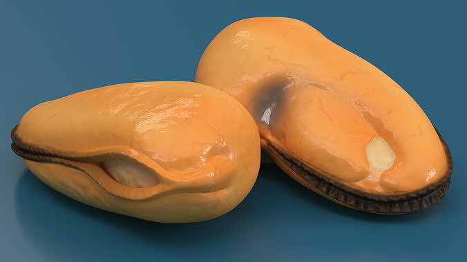 Boiled Cleaned Mussel 3D model 4