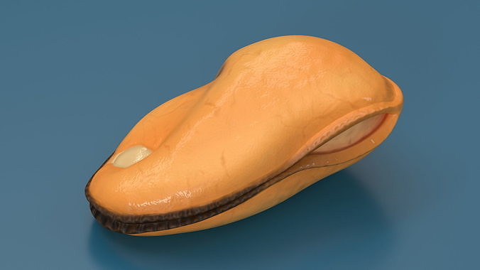 Boiled Cleaned Mussel 3D model 3