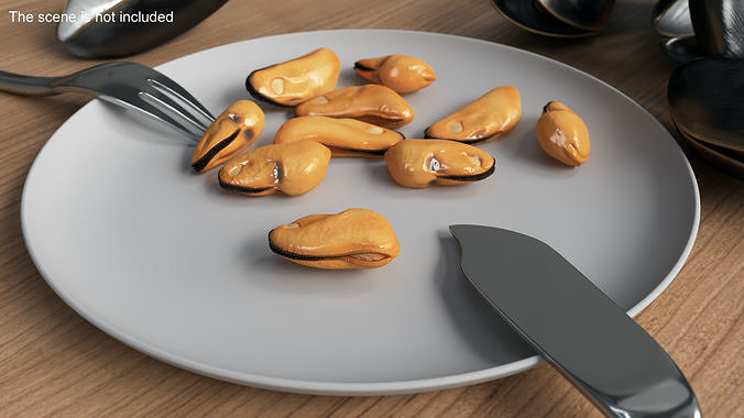 Boiled Cleaned Mussel 3D model 2