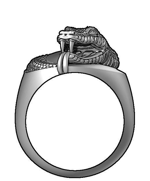 Snake yin yang ring 3D print model_6