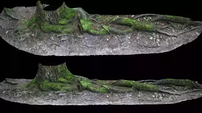 roots asphalt damaged road part2 photogrammetry
