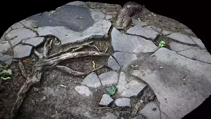 roots asphalt damaged road part3 photogrammetry 