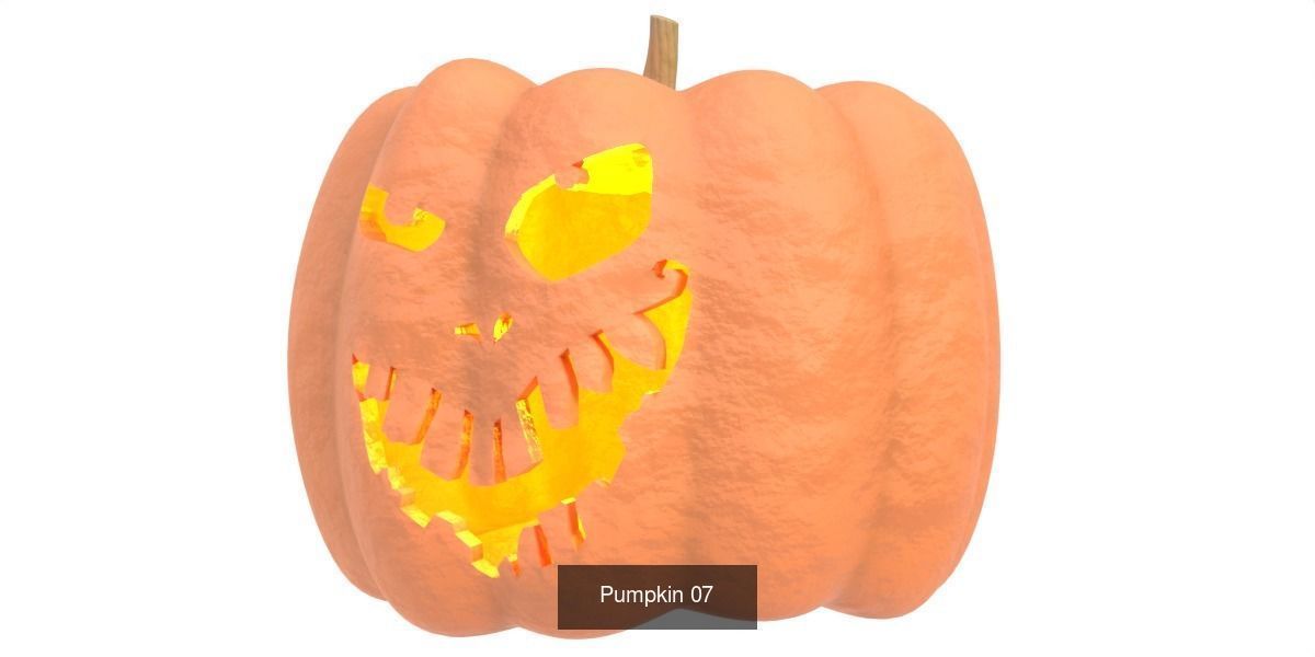 Pumpkin vol 03 3D Model Collection_7