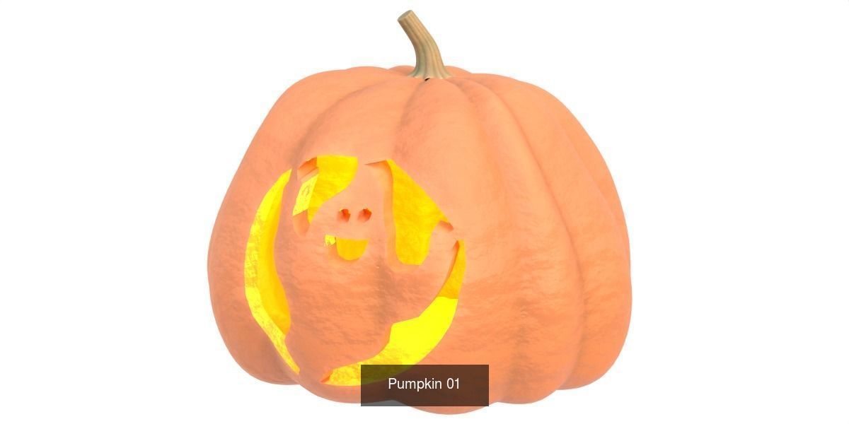 Pumpkin vol 03 3D Model Collection_1