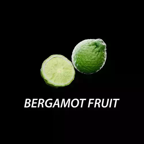 Bergamot - Photorealistic Scan