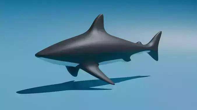 shark Low-poly 3D Model