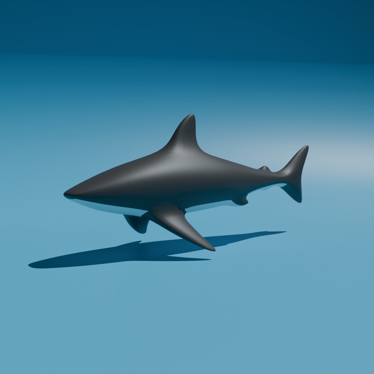 shark Low-poly 3D Model Low-poly 3D model_4