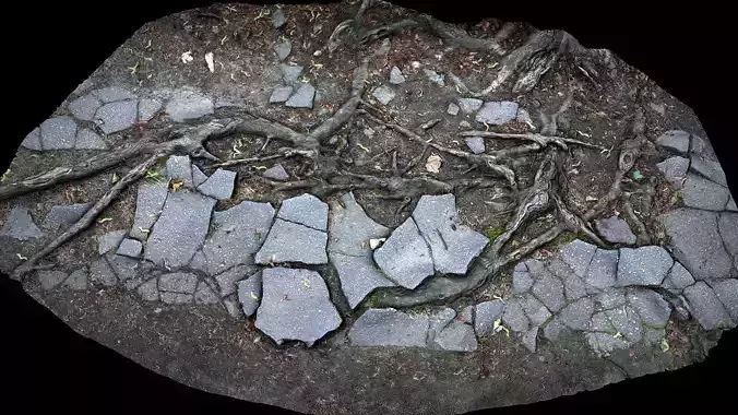 asphalt roots damaged road part4 photogrammetry 