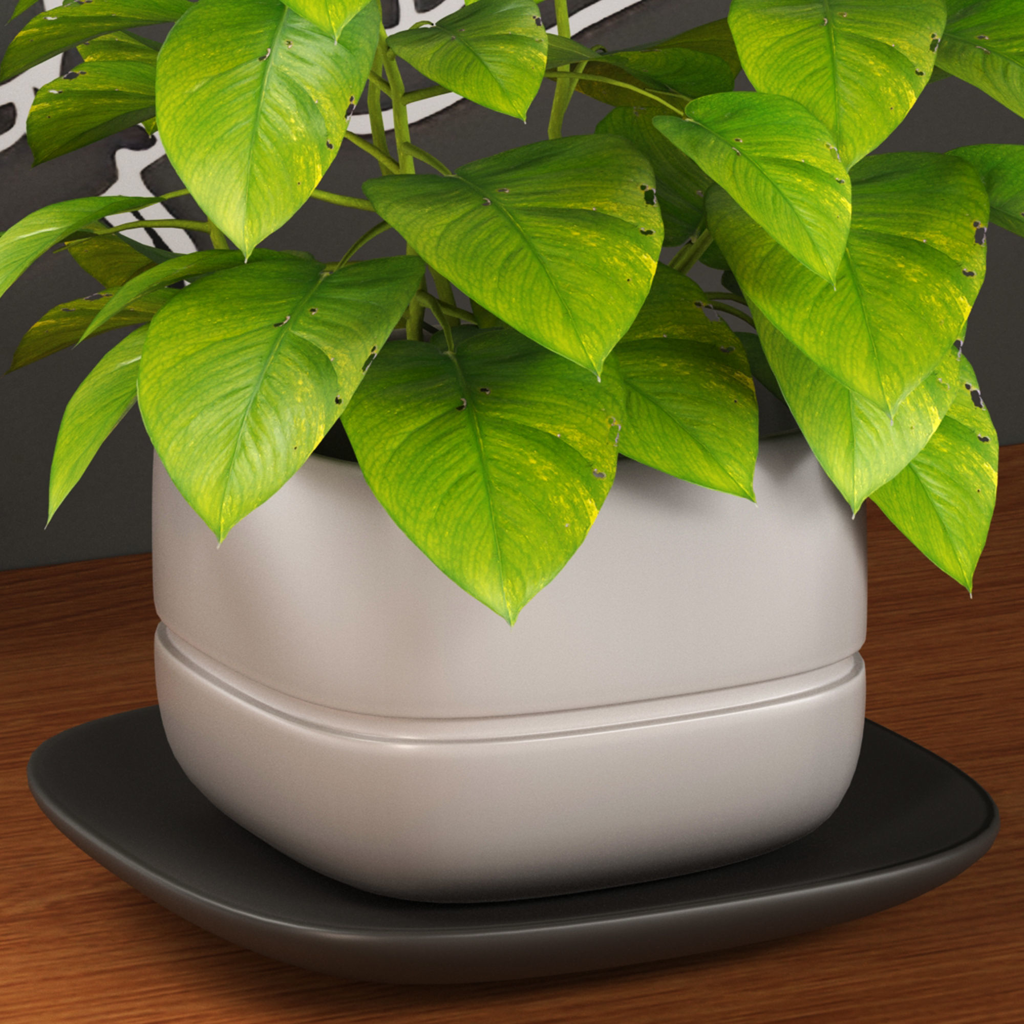 Cafe Set 01  3D model_4