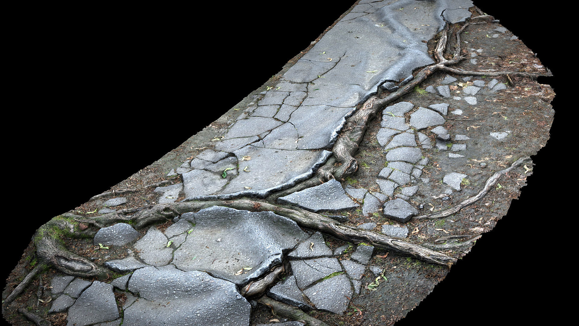 asphalt roots damaged road part5 photogrammetry Low-poly 3D model_1