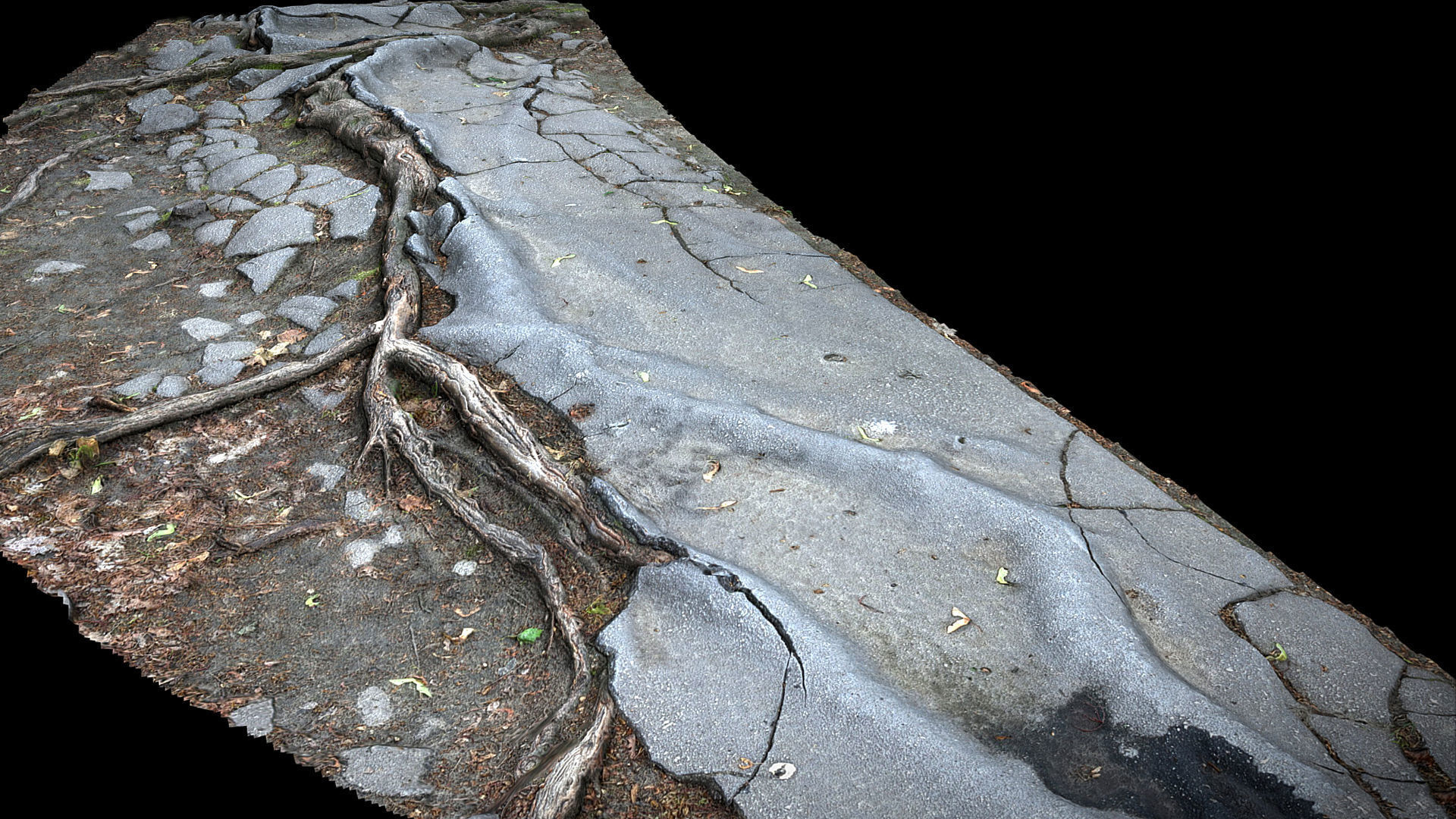 asphalt roots damaged road part5 photogrammetry Low-poly 3D model_2
