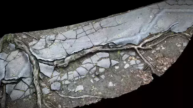 asphalt roots damaged road part5 photogrammetry