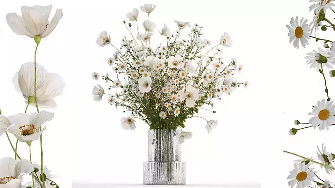 Bouquet Of White Wild Flowers Poppy Chamomile