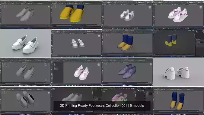 3D Printing Ready Footwears Collection 001 