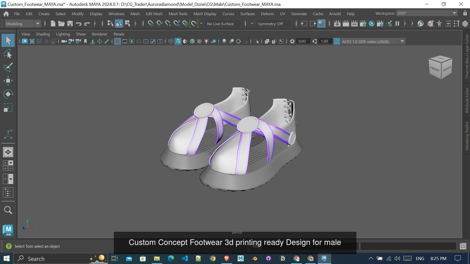 3D Printing Ready Footwears Collection 001 _3