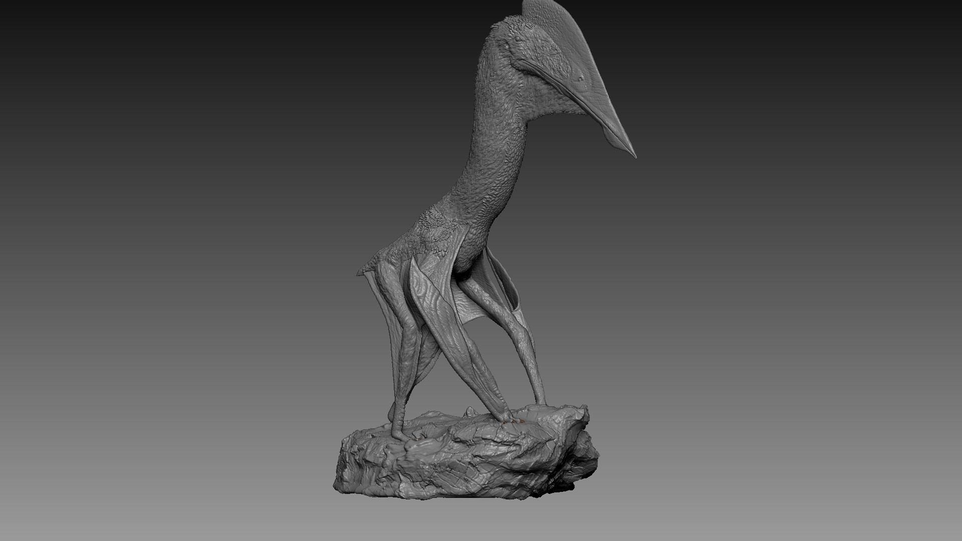 Hatzegopteryx thambema for 3D printing 1-35 presupported 3D print model_2