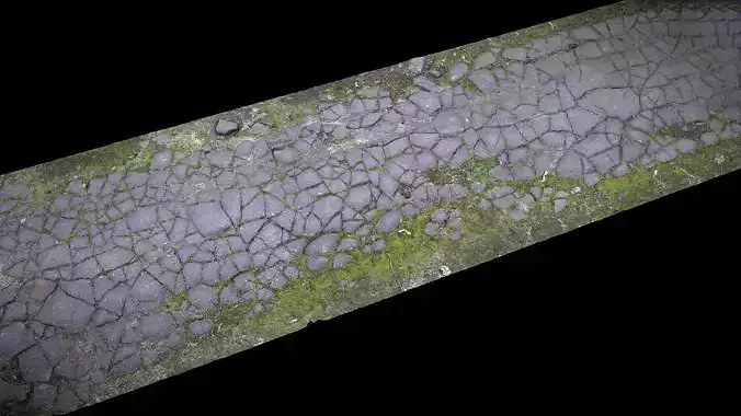asphalt cracked old mossy road part4 Photogrammetry