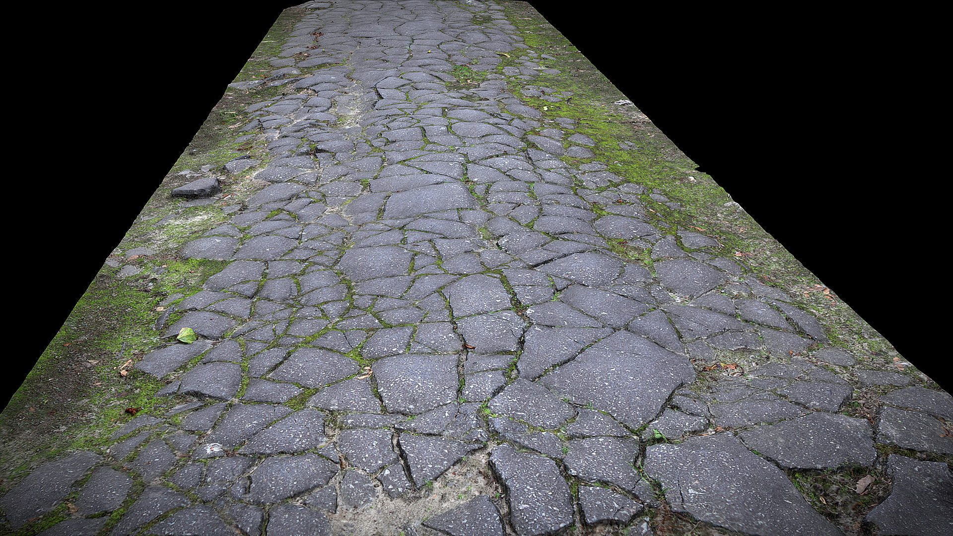 asphalt cracked old mossy road part4 Photogrammetry Low-poly 3D model_4