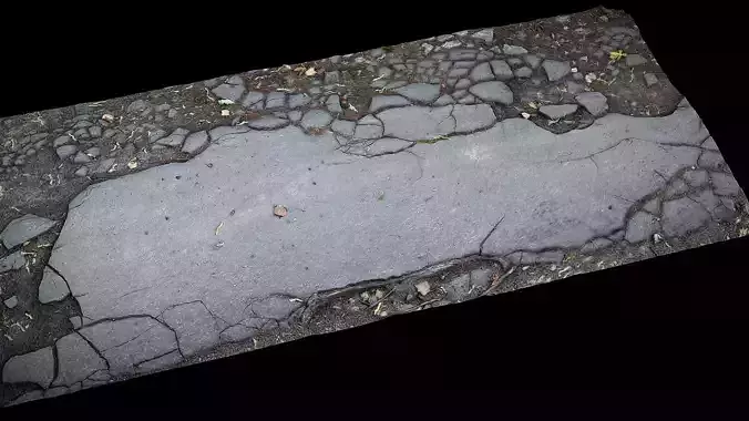 asphalt cracked tree roots part part5 Photogrammetry