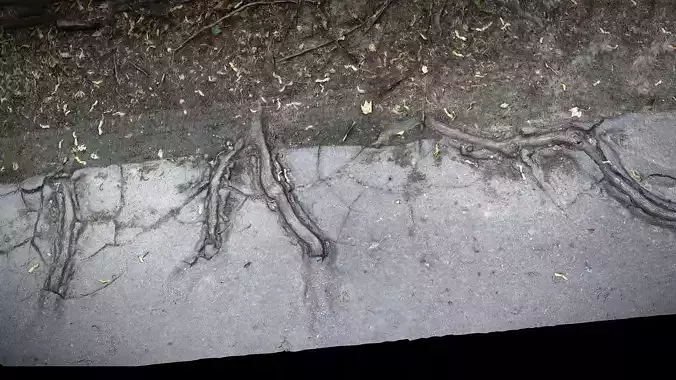 asphalt road tree roots part8 Photogrammetry 