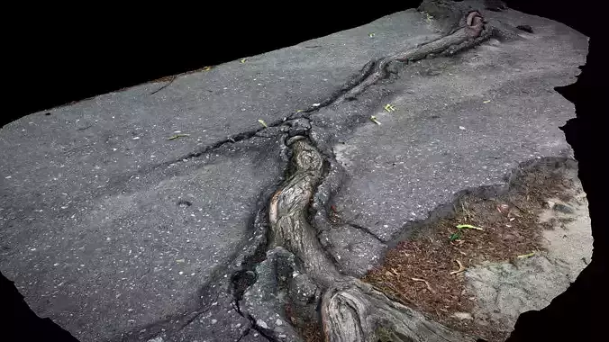 asphalt damaged road patch tree roots part9 Photogrammetry