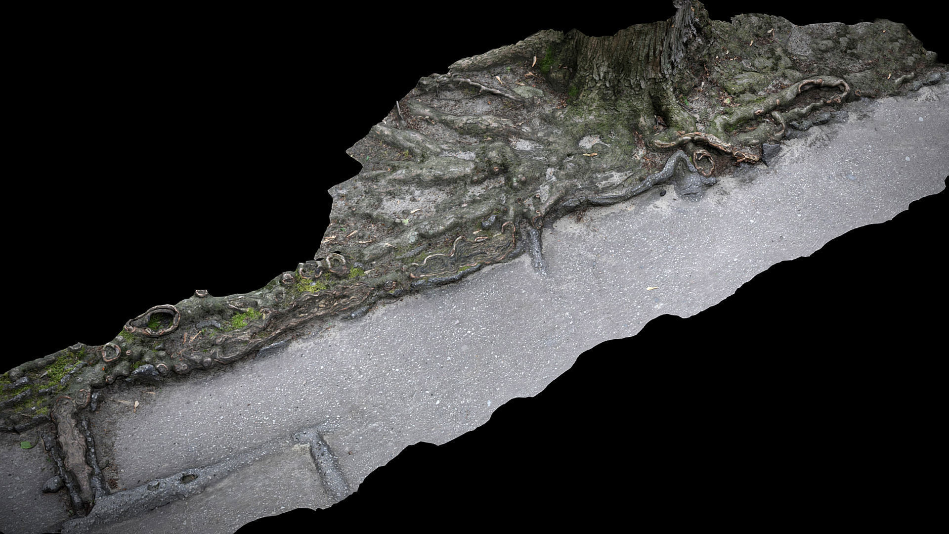asphalt damaged road tree roots pt10 photogrammetry Low-poly 3D model_3