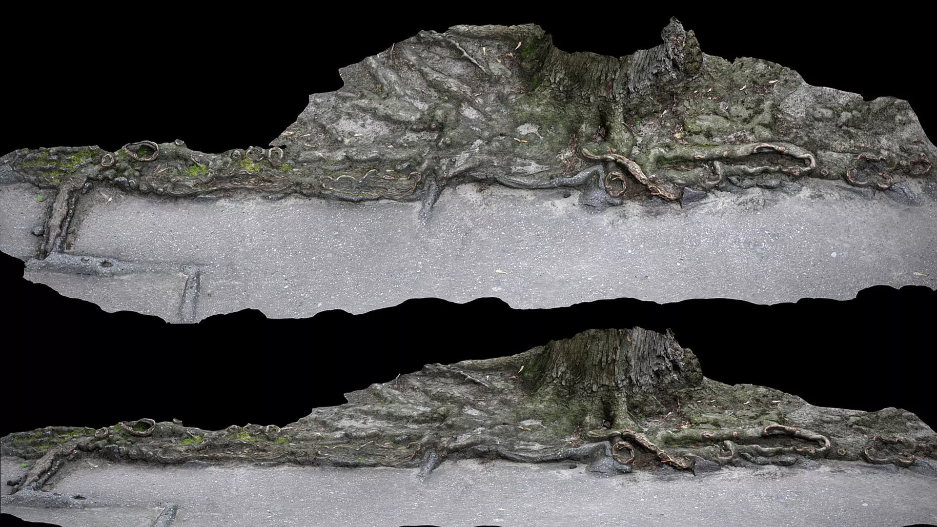 asphalt damaged road tree roots pt10 photogrammetry Low-poly 3D model_0