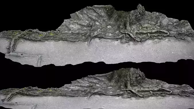 asphalt damaged road tree roots pt10 photogrammetry