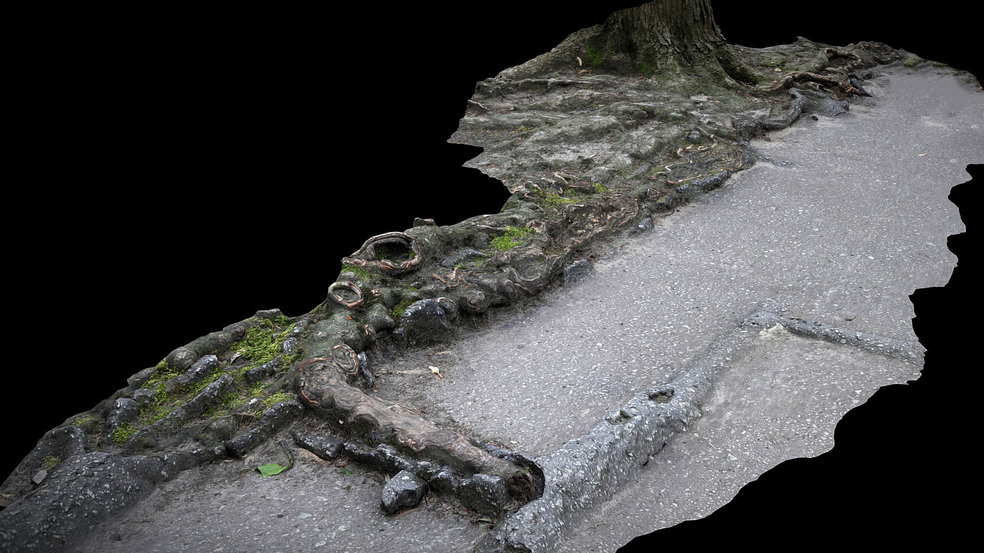 asphalt damaged road tree roots pt10 photogrammetry Low-poly 3D model_2