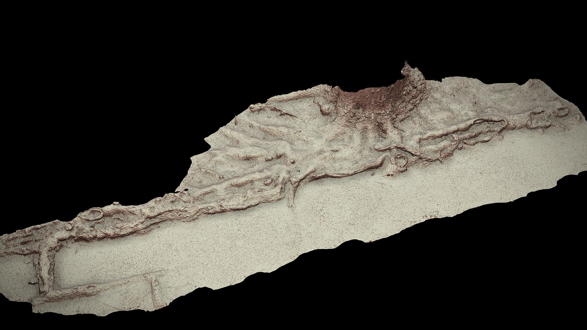 asphalt damaged road tree roots pt10 photogrammetry Low-poly 3D model_4