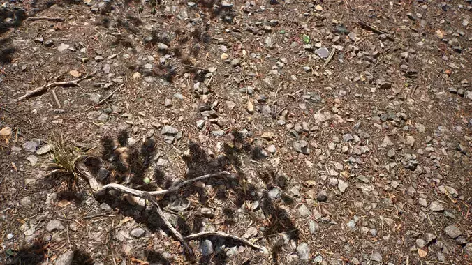 Soil 03 - Scanned Materials Textures