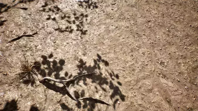 Soil 05 - Scanned Materials Textures