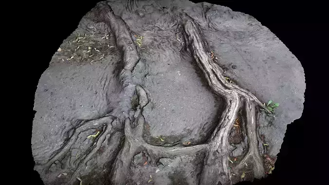 asphalt road tree roots 2x8k - 2uvsets photogrammetry